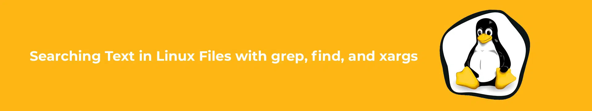 Searching Text in Linux Files