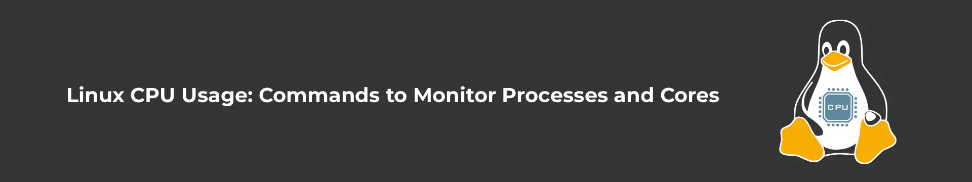 Linux CPU Usage_ Commands to Monitor Processes and Cores