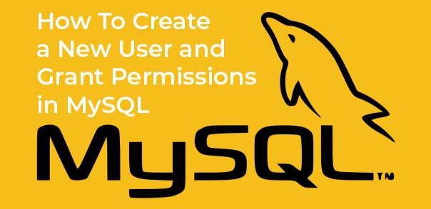 Create a New User and Grant Permissions in MySQL | VIKHOST