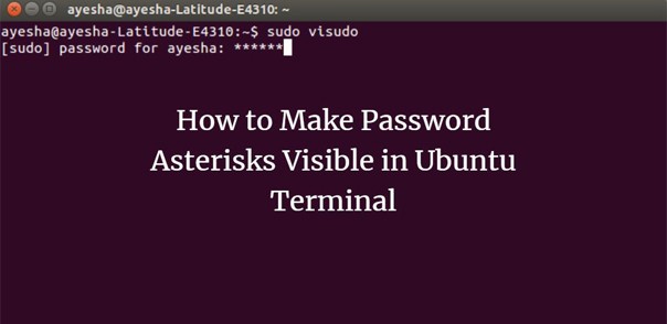 How to make password entry in the terminal visible