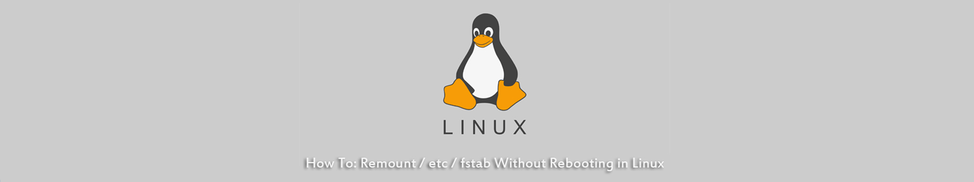 Remount fstab Without Reboot in Linux