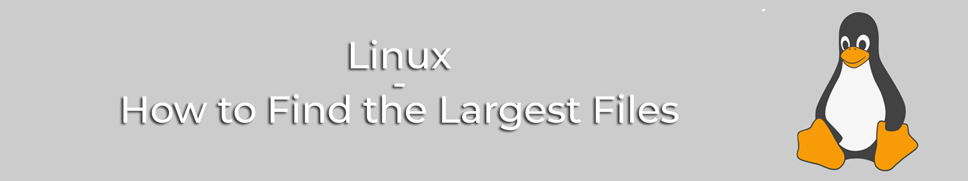 How to Find Large Files in Linux