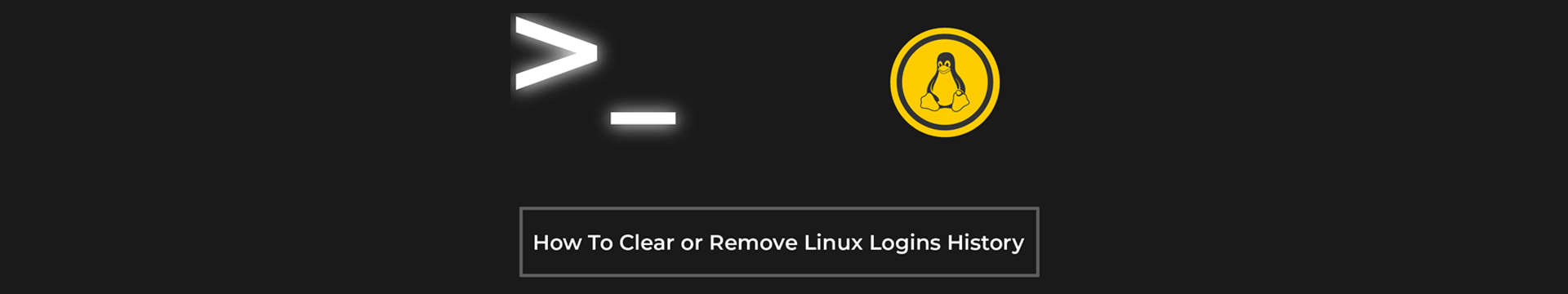 How To Clear or Remove Linux Logins History