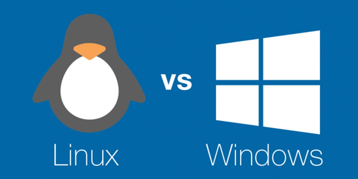 Linux Server vs Windows Server