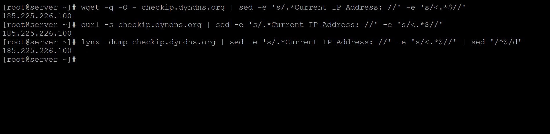 Linux get external ip Address using DynDNS