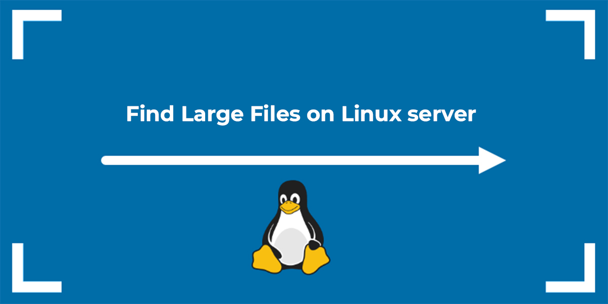 Find Large Files on Linux or Unix server