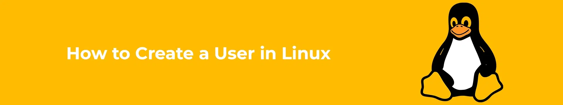 How to Create a User in Linux