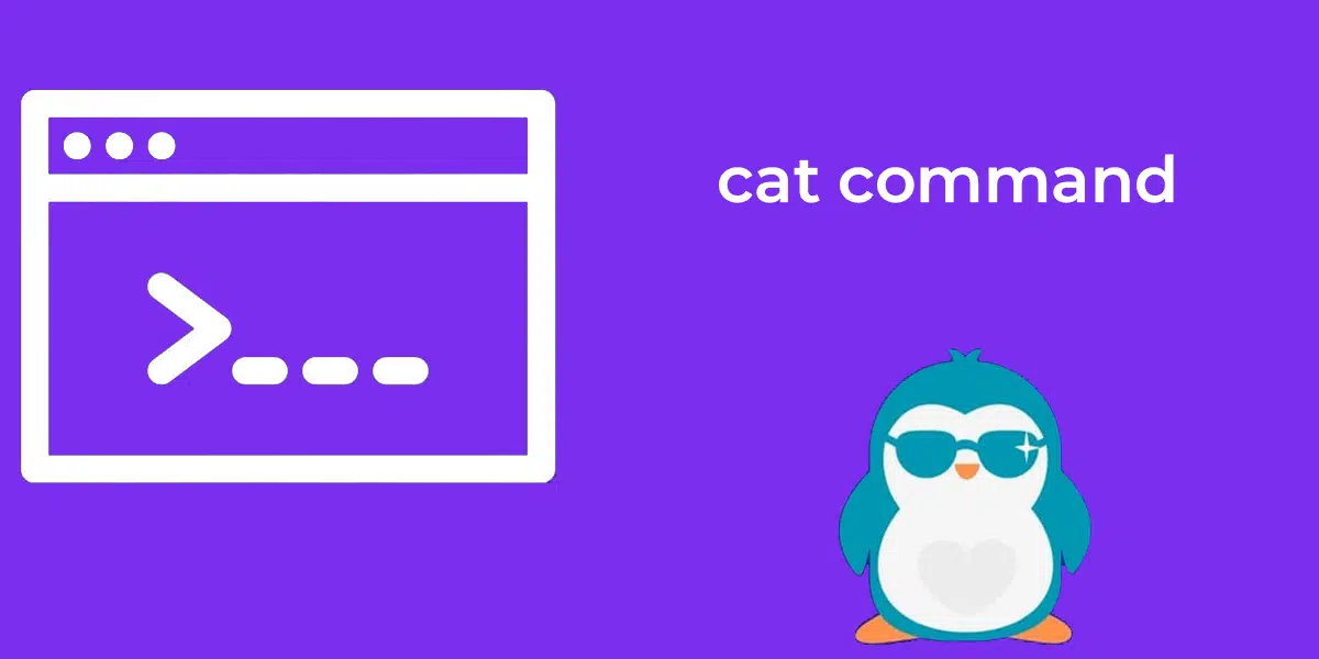 Linux List-User with cat command