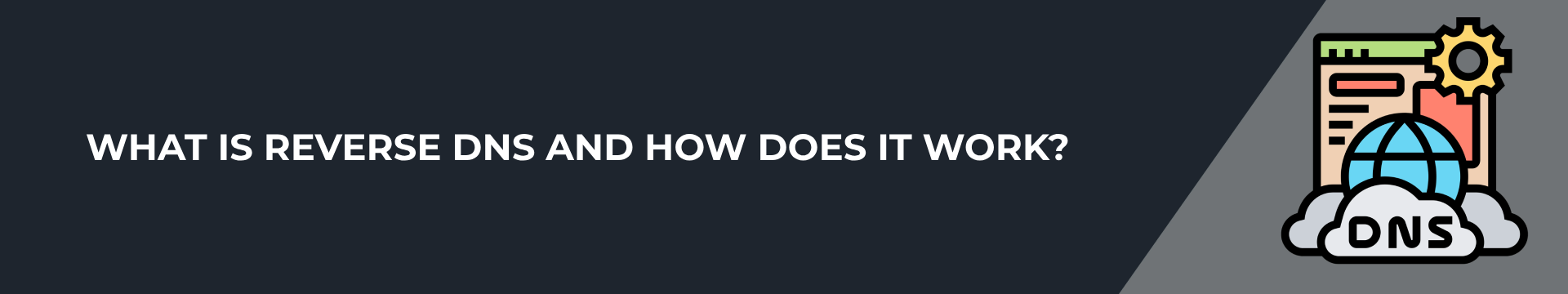 What Is Reverse DNS and How Does It Work