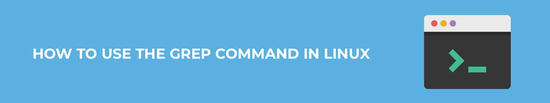 How to Use the grep Command in Linux