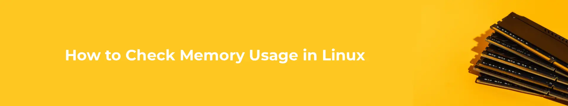 How to Check Memory Usage in Linux
